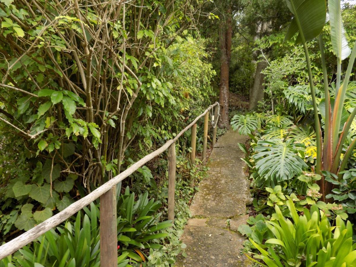 Protea Guest House 나이스나 외부 사진